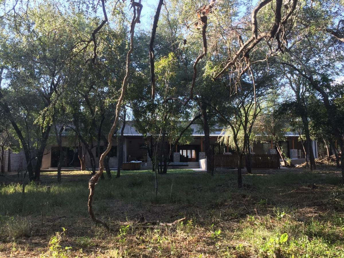 Lodge Dream Of Africa Bush *
