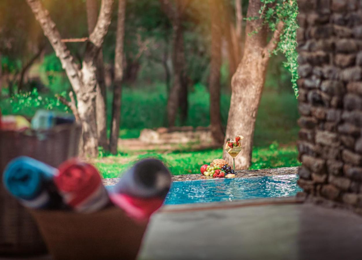 Dream Of Africa Bush