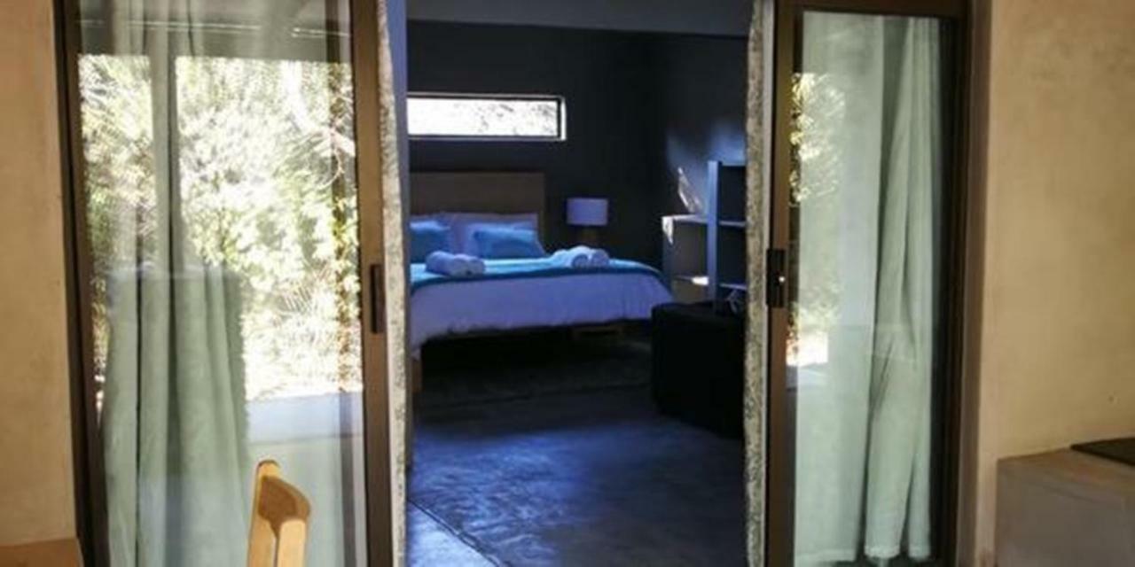 Dream Of Africa Bush